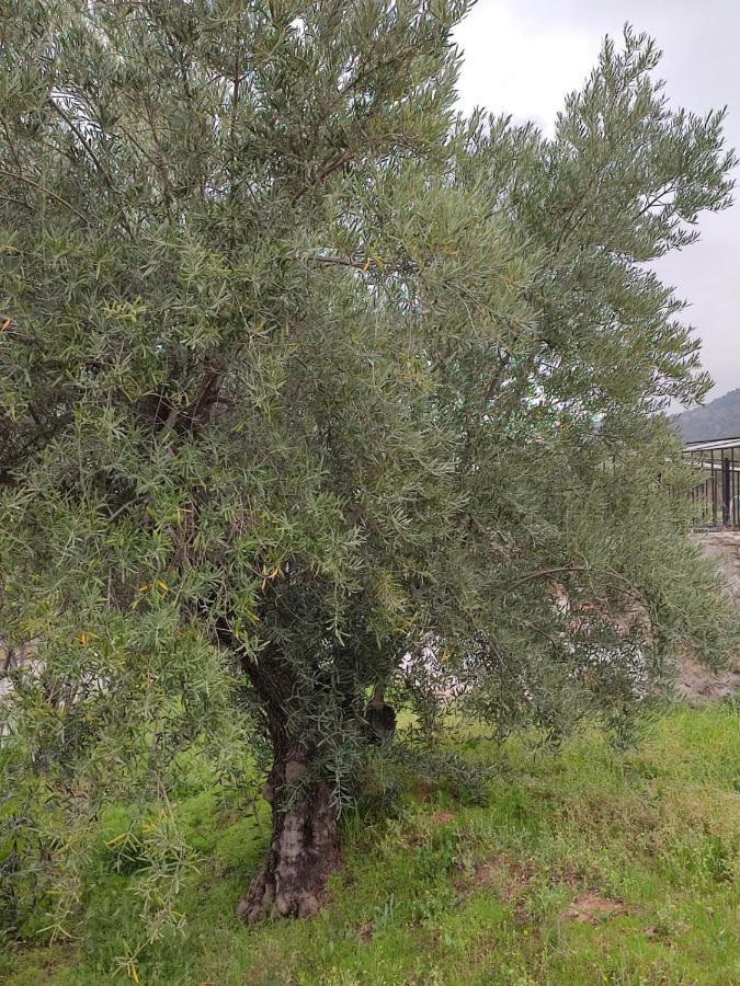 Casa Jabero Βίλα Nívar Εξωτερικό φωτογραφία