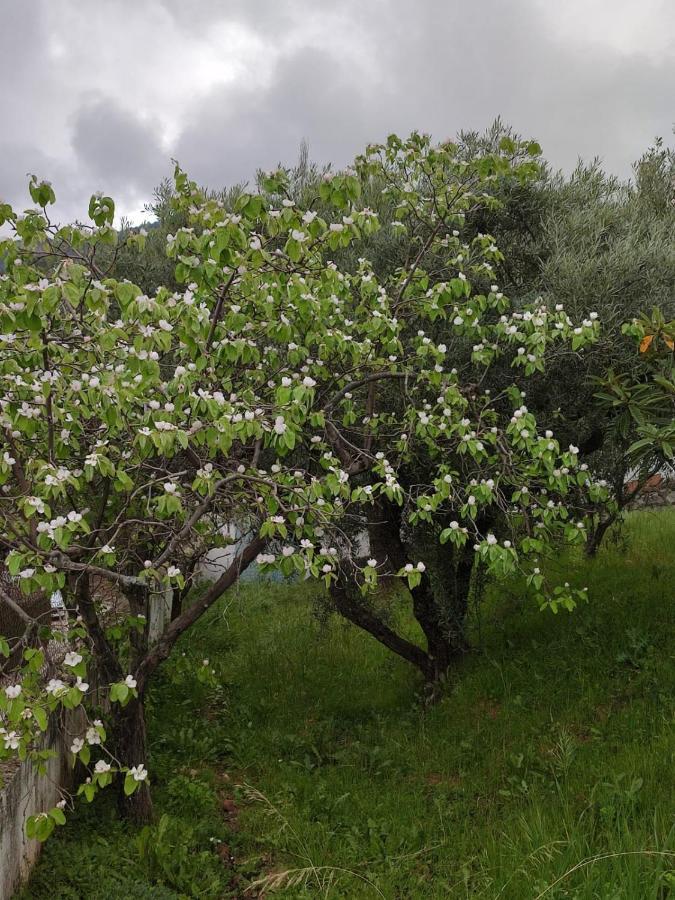 Casa Jabero Βίλα Nívar Εξωτερικό φωτογραφία